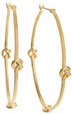 Avanessi Earrrings