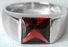 Garnet Tank Ring - 8mm faceted buff top in 14k white gold