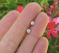 1/4 carat round diamond stud earrings in 14k white gold