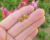 Round Citrine Stud Earring in 14k Yellow Gold