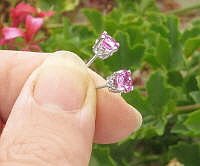 Round solitaire natural pink sapphire earrings in 14k white gold