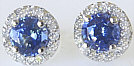 Round Cornflower Royal Bue Sapphire and Diamond Halo Stud Earrings in 14k white gold