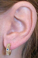 Earrings in gold