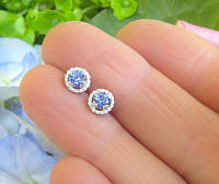 Natural medium cornflower blue sapphire stud earrings with a diamond halo in 14k white gold for sale